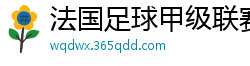 法国足球甲级联赛